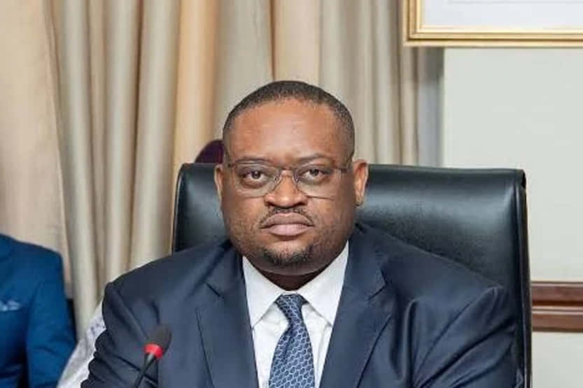 Assemblée Nationale : Doudou Fwamba éclaire les élus sur le succès de l'Eurobond